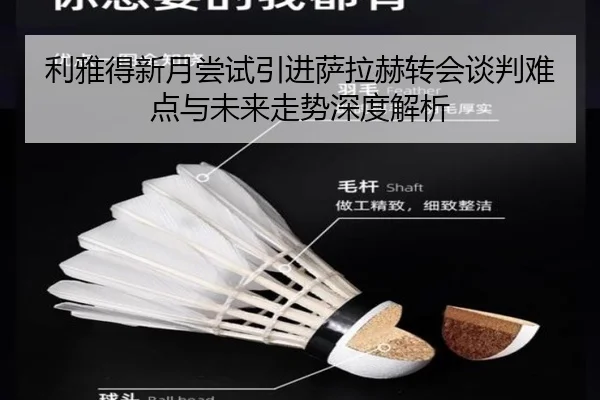 利雅得新月尝试引进萨拉赫转会谈判难点与未来走势深度解析