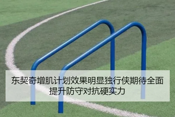 东契奇增肌计划效果明显独行侠期待全面提升防守对抗硬实力
